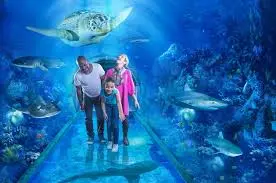 The National SEA LIFE Centre